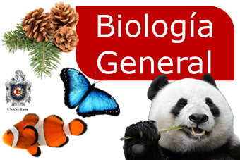 Biologia General G134