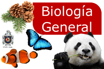 Biologia General G135